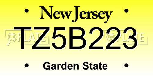 TZ5B223 New Jersey License Plate