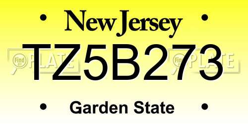 TZ5B273 New Jersey License Plate