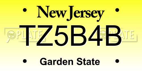 TZ5B4B New Jersey License Plate