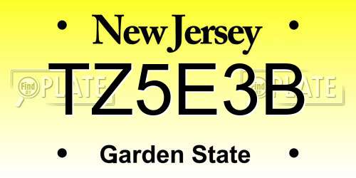 TZ5E3B New Jersey License Plate