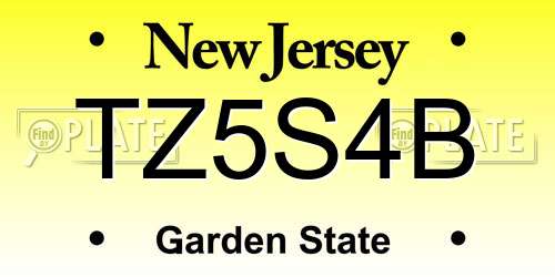 TZ5S4B New Jersey License Plate