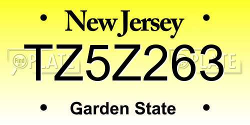 TZ5Z263 New Jersey License Plate