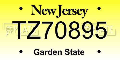 TZ70895 New Jersey License Plate