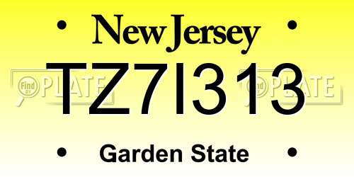 TZ7I313 New Jersey License Plate