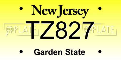 TZ827 New Jersey License Plate