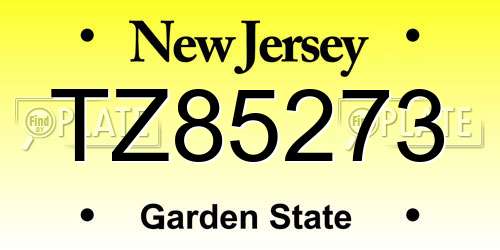 TZ85273 New Jersey License Plate