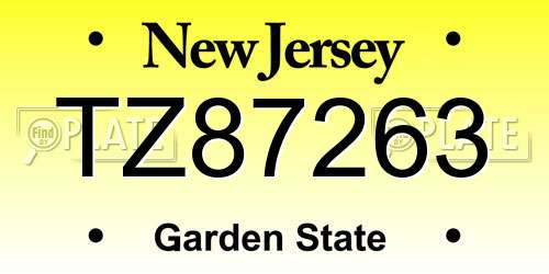 TZ87263 New Jersey License Plate