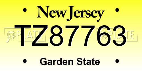 TZ87763 New Jersey License Plate