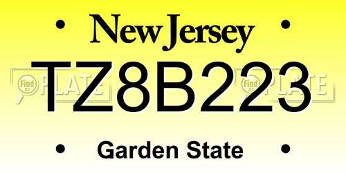 TZ8B223 New Jersey License Plate