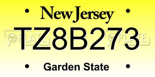 TZ8B273 New Jersey License Plate