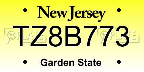 TZ8B773 New Jersey License Plate