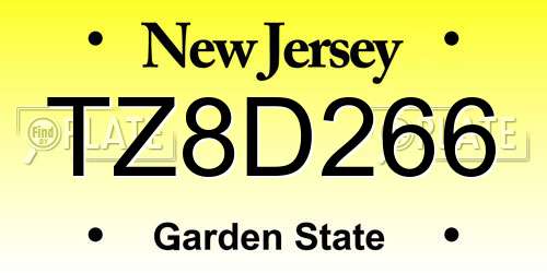 TZ8D266 New Jersey License Plate