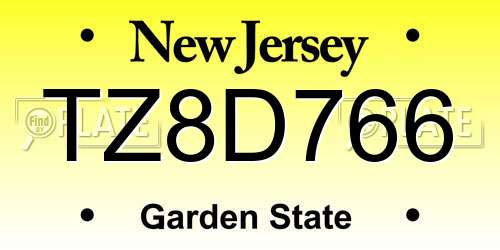 TZ8D766 New Jersey License Plate