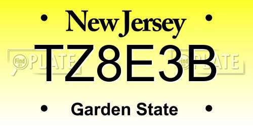 TZ8E3B New Jersey License Plate
