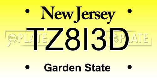 TZ8I3D New Jersey License Plate