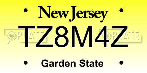 TZ8M4Z New Jersey License Plate