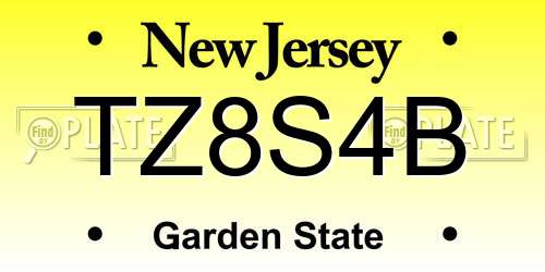 TZ8S4B New Jersey License Plate