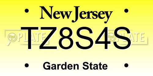 TZ8S4S New Jersey License Plate
