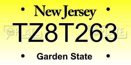 TZ8T263 New Jersey License Plate