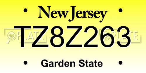 TZ8Z263 New Jersey License Plate