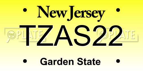 TZAS22 New Jersey License Plate