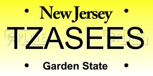 TZASEES New Jersey License Plate