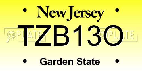 TZB13O New Jersey License Plate