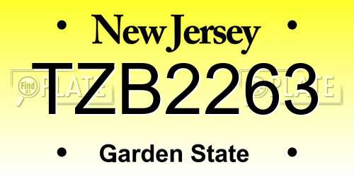 TZB2263 New Jersey License Plate