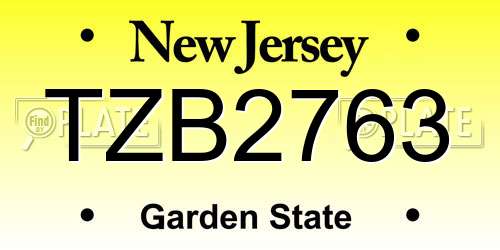 TZB2763 New Jersey License Plate