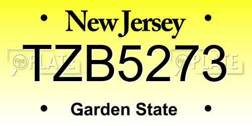 TZB5273 New Jersey License Plate
