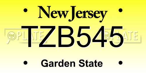 TZB545 New Jersey License Plate