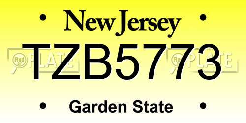 TZB5773 New Jersey License Plate