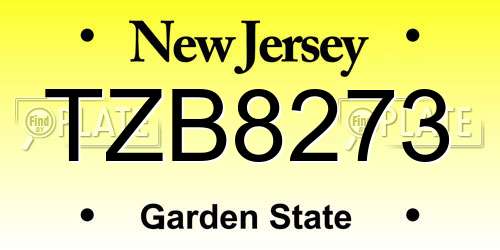 TZB8273 New Jersey License Plate