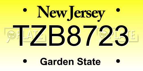TZB8723 New Jersey License Plate