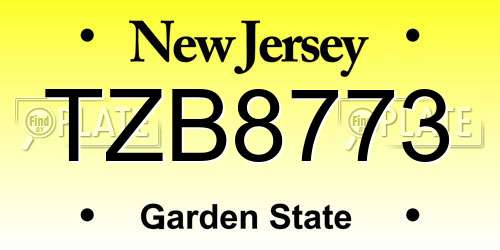 TZB8773 New Jersey License Plate
