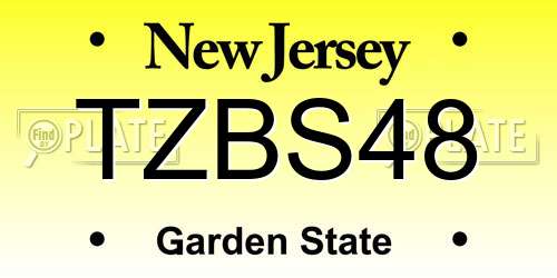 TZBS48 New Jersey License Plate