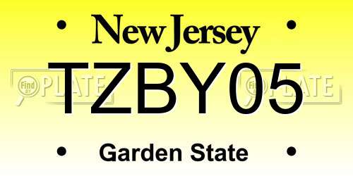 TZBY05 New Jersey License Plate