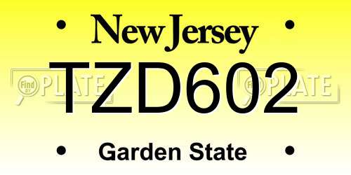 TZD602 New Jersey License Plate