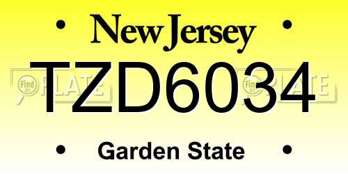 TZD6034 New Jersey License Plate