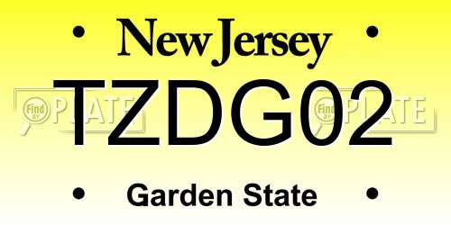 TZDG02 New Jersey License Plate