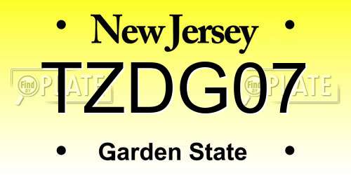 TZDG07 New Jersey License Plate