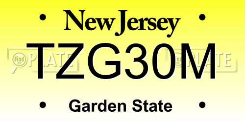 TZG30M New Jersey License Plate