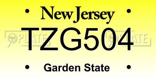 TZG504 New Jersey License Plate