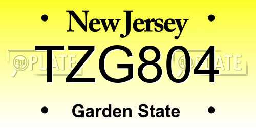 TZG804 New Jersey License Plate