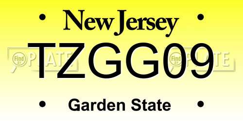 TZGG09 New Jersey License Plate
