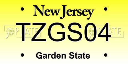 TZGS04 New Jersey License Plate