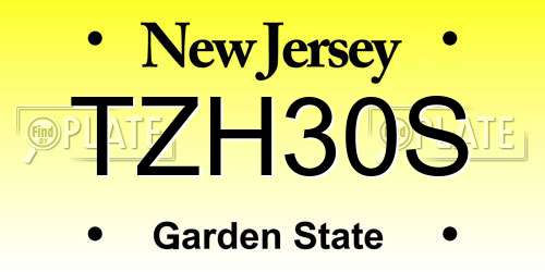 TZH30S New Jersey License Plate