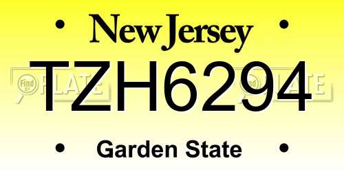 TZH6294 New Jersey License Plate