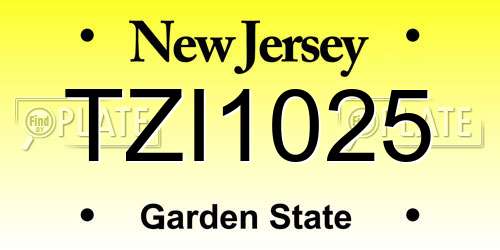 TZI1025 New Jersey License Plate