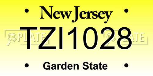 TZI1028 New Jersey License Plate